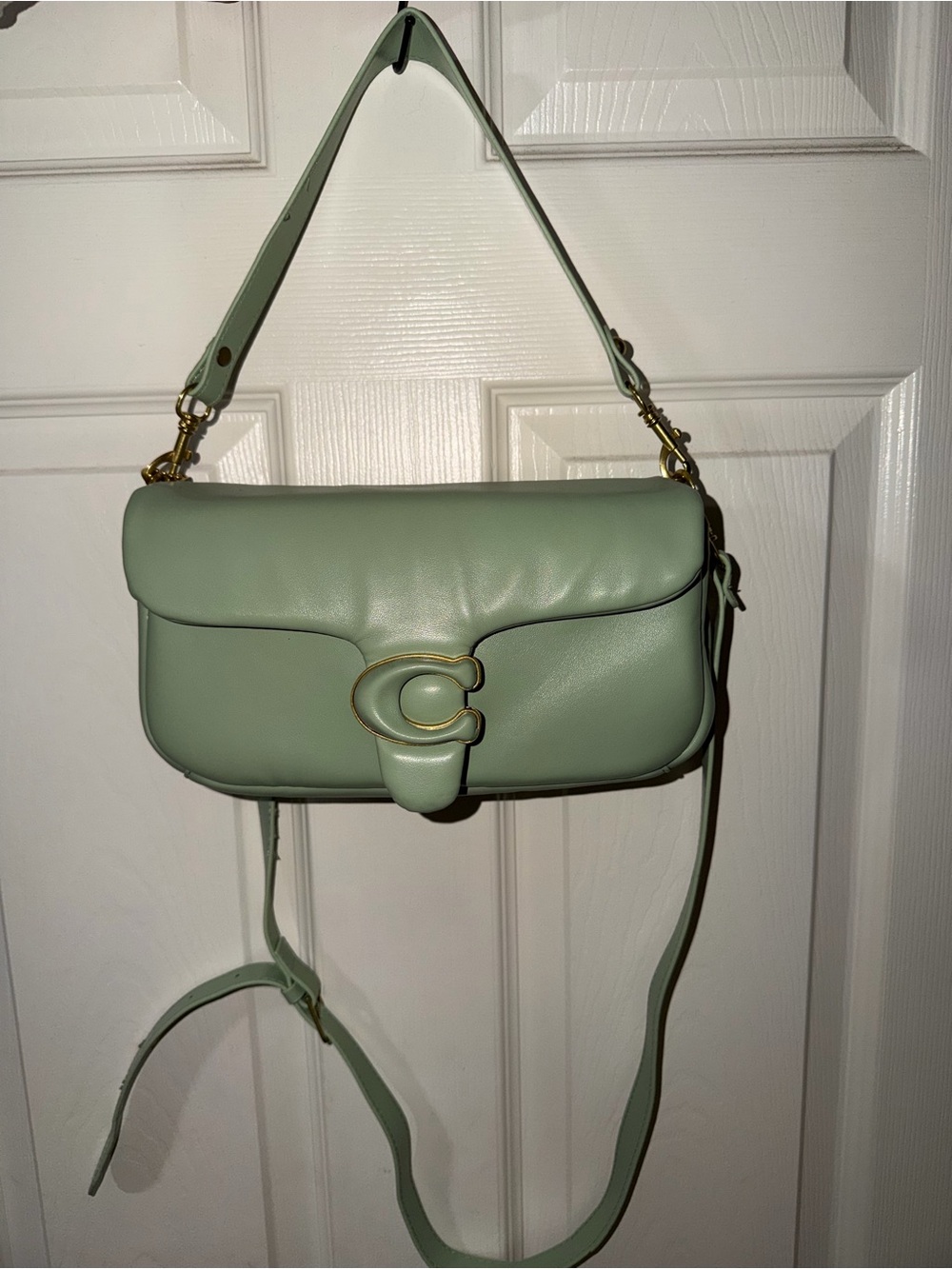 Coach Pillow Tabby Light Green